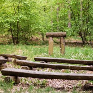 FriedWald_Nuthetal-Parforceheide_Slider_05 Friedwald